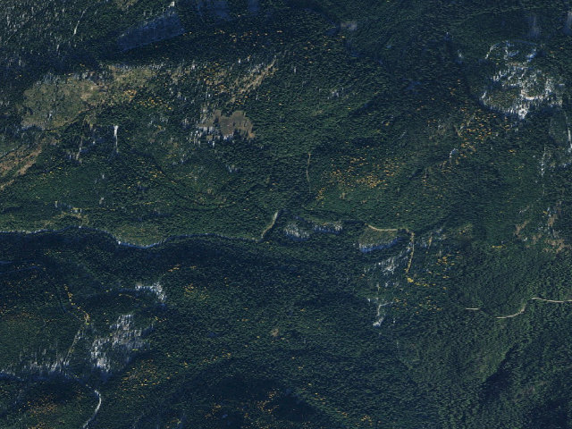 Aerial image of USFS dispersed camp — WA #12