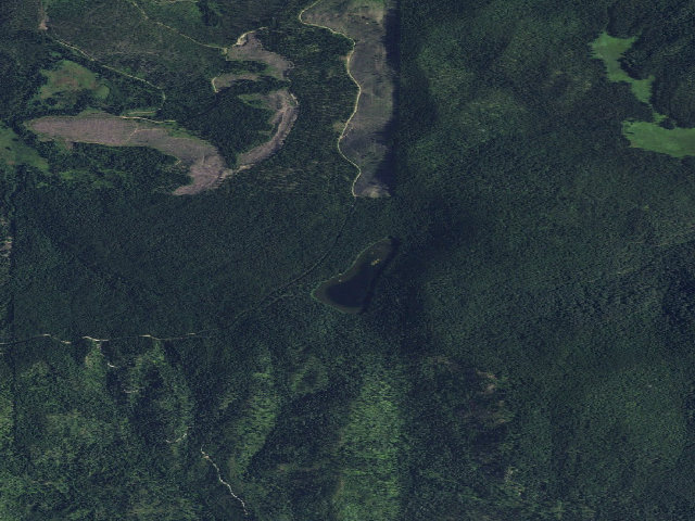 Aerial image of USFS dispersed camp — WA #14