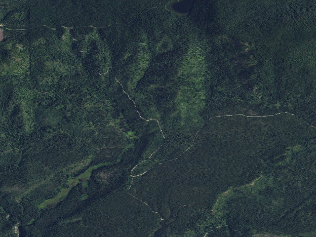 Aerial image of USFS dispersed camp — WA #16