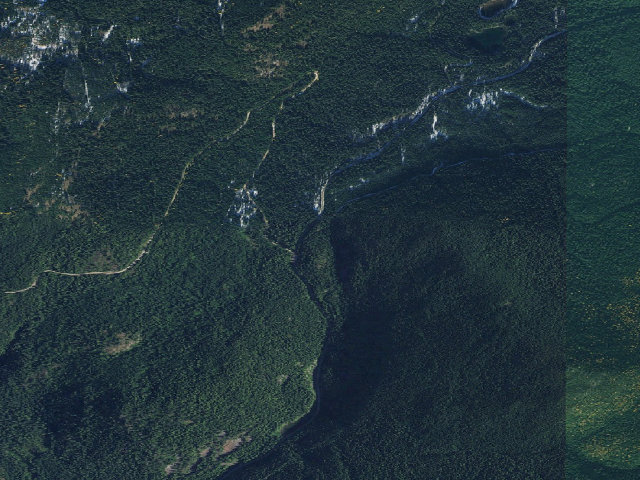 Aerial image of USFS dispersed camp — WA #17