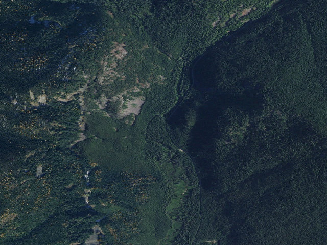 Aerial image of USFS dispersed camp — WA #2