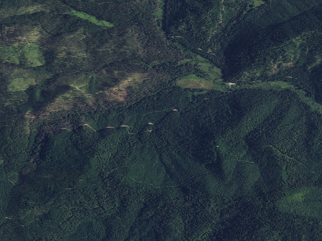 Aerial image of USFS dispersed camp — WA #4