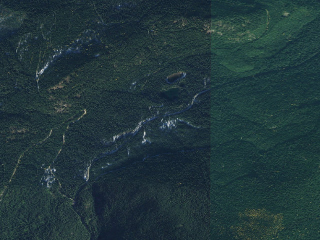Aerial image of USFS dispersed camp — WA #5