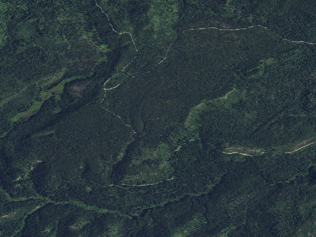 Aerial image of USFS dispersed camp — WA #6