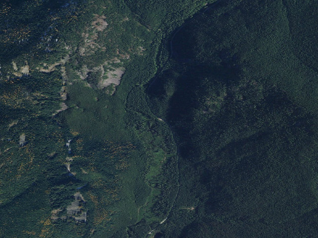 Aerial image of USFS dispersed camp — WA #8