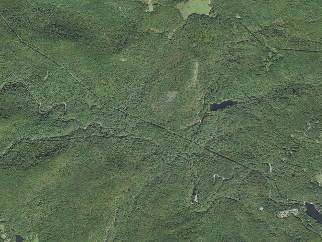 Aerial image of Van Hook Glade Campground