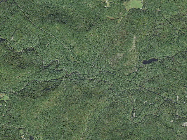 Aerial image of Van Hook Glade Campground