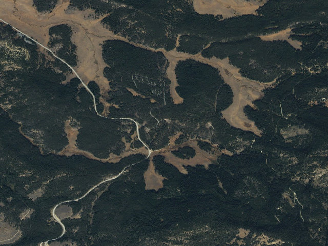 Aerial image of Verbanone