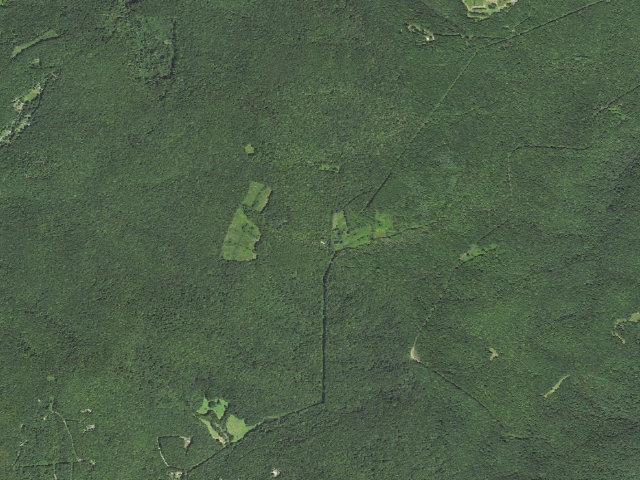 Aerial image of Victor Road Dispersed Camping Site 1