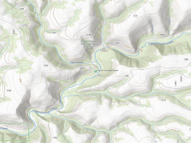 USGS topographic map of Vigne Campground