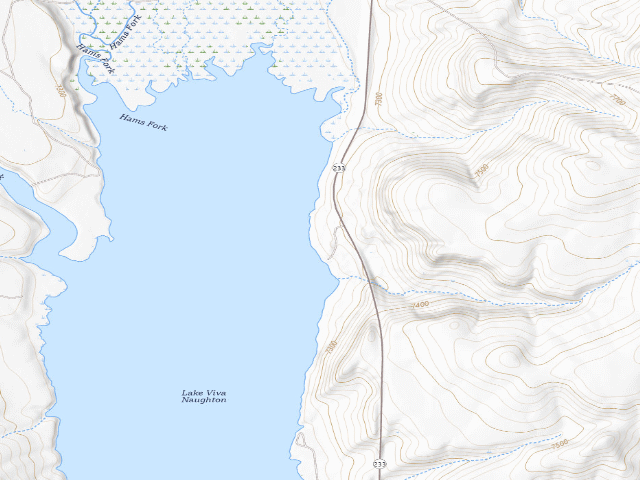 USGS topographic map of Viva Naughton PAA Campground