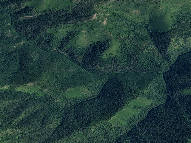 Aerial image of W.F. Trout Cr Trail 795-Camp A