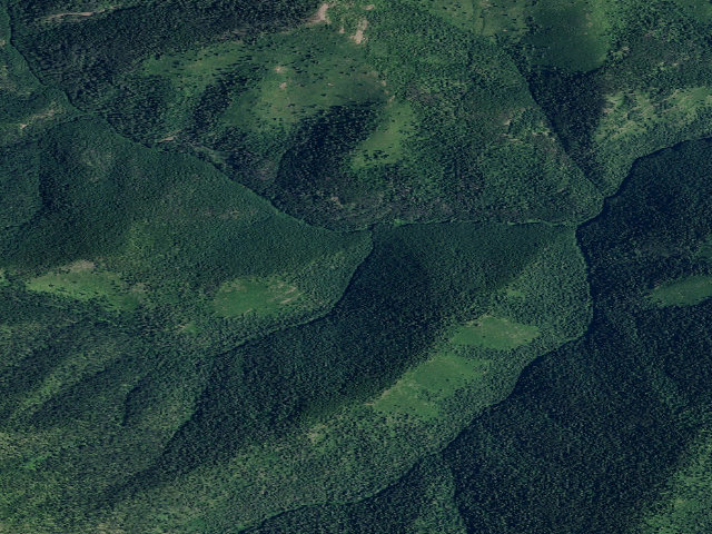 Aerial image of W.F. Trout Cr Trail 795-Camp C