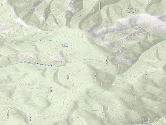 USGS topographic map of W.Fk. Tyler Saddle