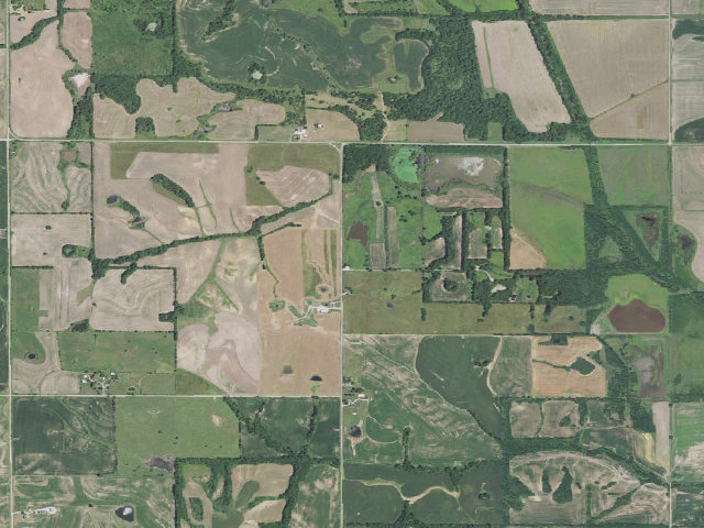 Aerial image of W. L. Schifferdecker Memorial Conservation Area
