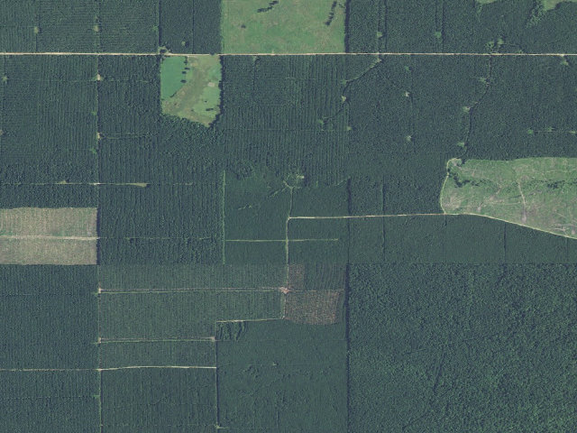Aerial image of W. Pascal Spur Camp Spot (Herron Family WMA)