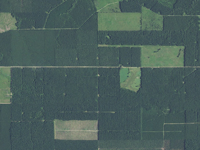 Aerial image of W. White Oak Springs Camp Spot (Herron Family WMA)