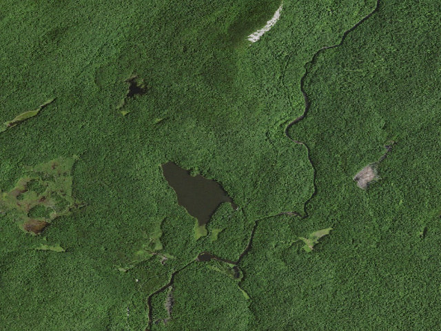 Aerial image of Wakely Pond (Moose River Plains Wild Forest)