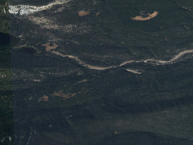 Aerial image of Walked