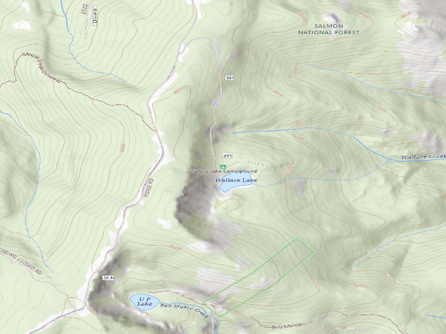 USGS topographic map of Wallace Lake Campground