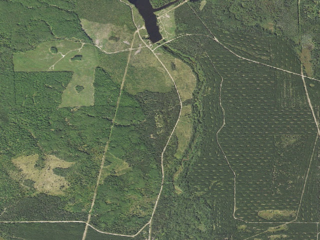 Aerial image of Walsh Road Equestrian State Forest Campground and Trail Camp