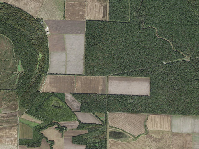 Aerial image of Walter Will Bryant Cannon Brake Access Camping Area #1