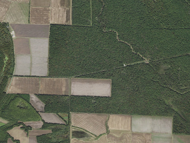 Aerial image of Walter Will Bryant Cannon Brake Access Camping Area #3