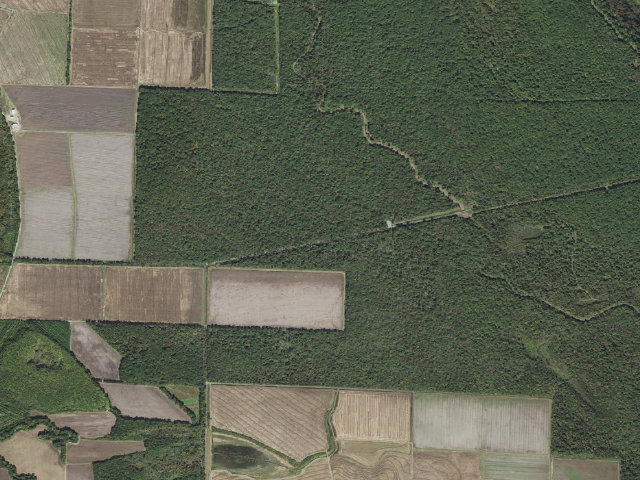 Aerial image of Walter Will Bryant Cannon Brake Access Camping Area #2