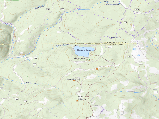 USGS topographic map of Walton Lake