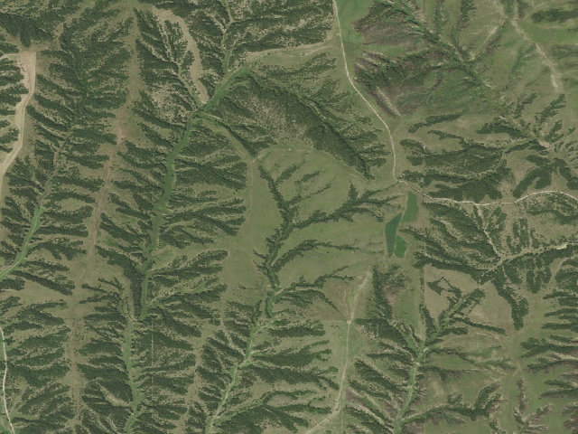 Aerial image of Wapiti WMA