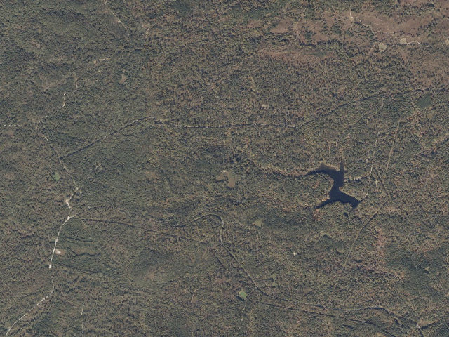 Aerial image of Warden Station