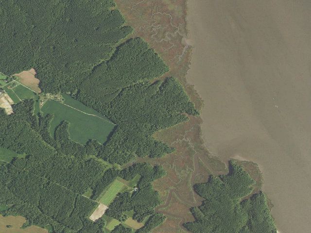 Aerial image of Ware Creek WMA