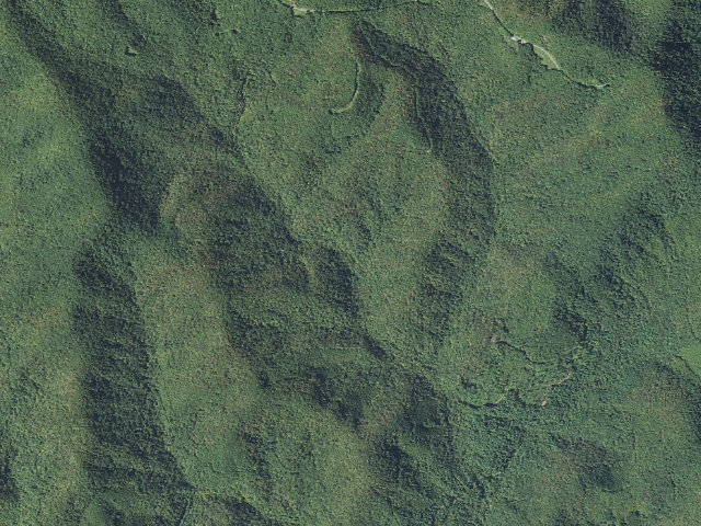 Aerial image of Wash Creek Roadside Campsites