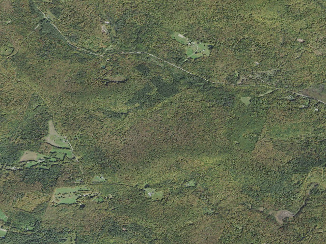 Aerial image of Washington State Forest primitive camping area