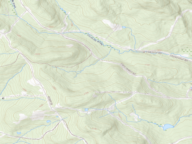 USGS topographic map of Washington State Forest primitive camping area