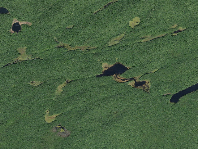 Aerial image of Waters Millpond #1 (Ferris Lake Wild Forest)