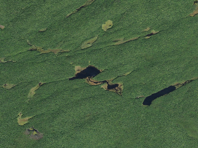 Aerial image of Waters Millpond #2 (Ferris Lake Wild Forest)