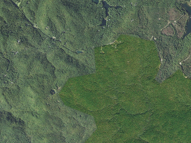 Aerial image of Watson-Cooper Heritage Preserve primitive camping (entrance)
