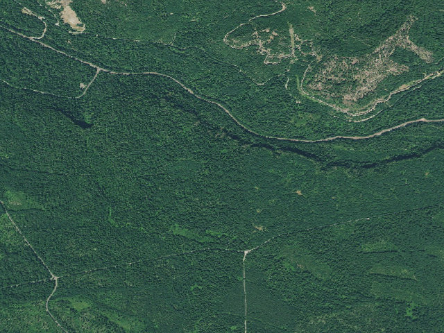 Aerial image of Watson Creek Forest Camp