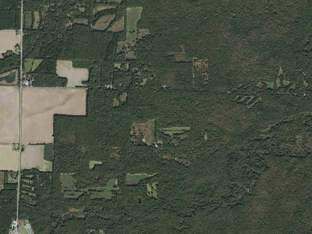 Aerial image of Wattensaw Camping Area #1