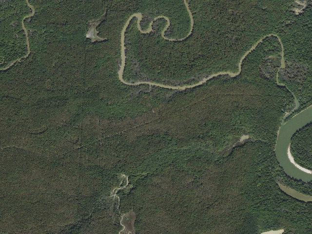 Aerial image of Wattensaw Camping Area #10