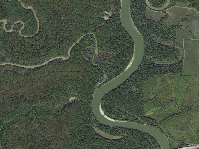 Aerial image of Wattensaw Camping Area #11