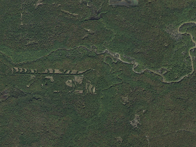 Aerial image of Wattensaw Camping Area #12