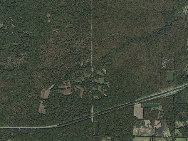 Aerial image of Wattensaw Camping Area #15