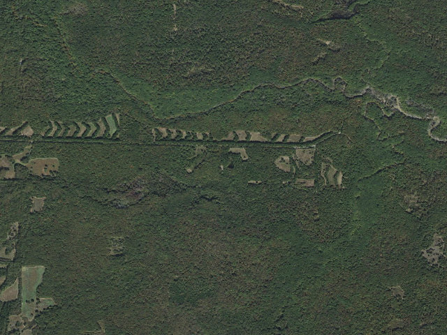 Aerial image of Wattensaw Camping Area #17