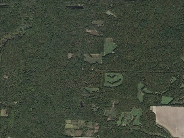 Aerial image of Wattensaw Camping Area #18