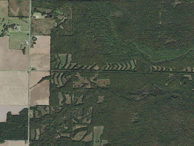 Aerial image of Wattensaw Camping Area #19