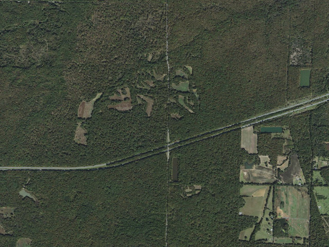Aerial image of Wattensaw Camping Area #2