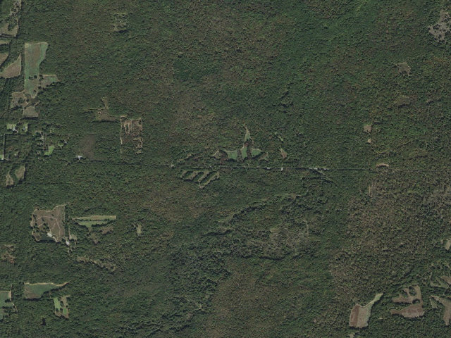 Aerial image of Wattensaw Camping Area #20