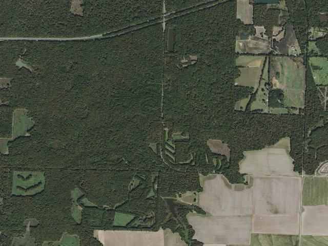 Aerial image of Wattensaw Camping Area #21